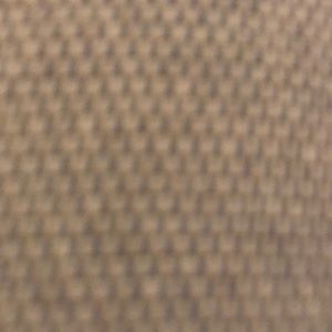 Meet your Posher, Laney